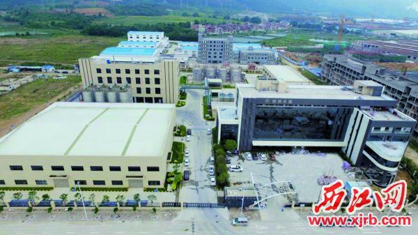 瀚和(高要)精細化工產業基地 優質高效服務助力企業建設快馬加鞭